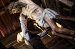 personaggi presepe Sabbioni - Crema(CR)