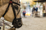 personaggi presepe Sabbioni - Crema(CR)